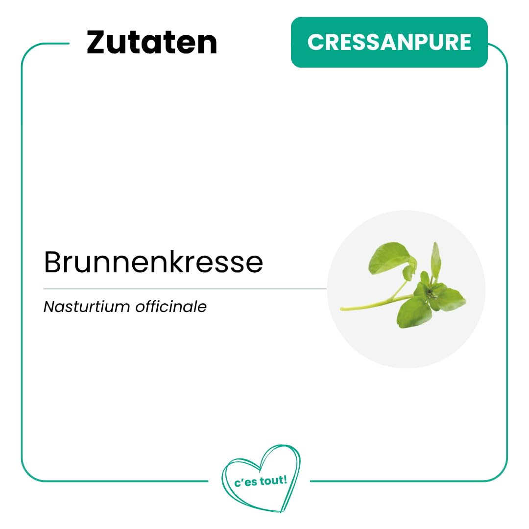 CressanPure – 60 Kapseln – Bio-Detox und Immunsystem-Unterstützung – Fördert Natürliche Reinigung, Steigert Energie & Vitalität, Vegan und Chemiefrei