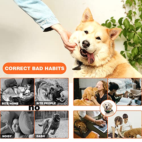 Dog Training Collar With Remote,Shock Collar For Small Medium Large Dogs,Rechargeable Dog Shock Collar With 2800Ft Remote Waterproof Adjustable Shock Levels Dog Training Set #TOP1