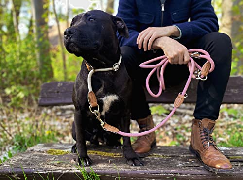 Leisegrün Hundeleine große Hunde - Führleine 3m verstellbar mit 2 Karabiner - 3 Meter lang x 1,1 cm - Nur 300 g - Modell Devon - Rosa