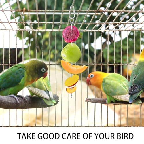 3 peças de suporte de comida para pássaros, pequenos animais, de aço inoxidável, para frutas, legume