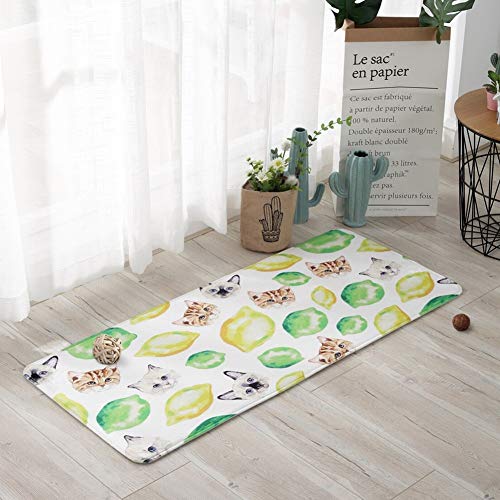 Tapis de sol porche et cuisine MU avec bande antidérapante hall