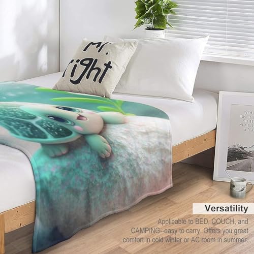 Couvertures de canapé chaude Tortue pour des soirées cocooning