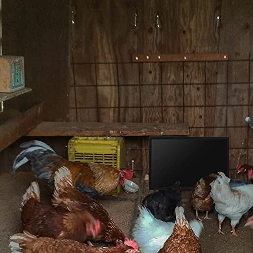 Ruitn Chicken Coop Heater, Radiant Heat Chicken Heater For Coop 120 Watts Energy Efficient Safer Than Brooder Lamps Heater For Chicken Coop 16 Inchx11.5 Inch thumb #4