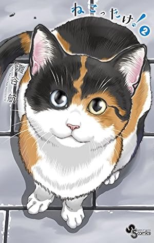 ねこったけ! (2) (少年サンデーコミックス) | 灘谷 航 |本 | 通販 | Amazon