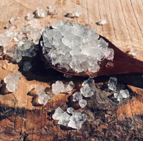 Grani di kefir in acqua da 30 g, approvati vegani, certificati biologici Kombuchaorganic®