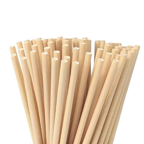 100 Cannucce di carta Biodegradabili compostabili cannucce di carta kraft senza tinte, nude, per bere cocktail, caffè, bibite fredde e calde, 19,7x0,6cm, 100 pezzi