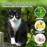 Cat Deterrent Outdoor, 12 Pack Natural Peppermint Cat Deterrent Indoor, Keep Cats Out of Plants, Yards, Gardens from Cats and Dogs - Image 2