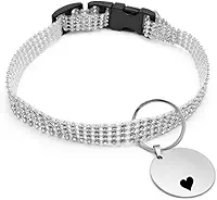 Kit Coleira Pet Cachorro Gatos Plaquinha Personalizada QR Code Nome Identificação Strass Pingente Argola (COM COLEIRA PRATA REDONDO)