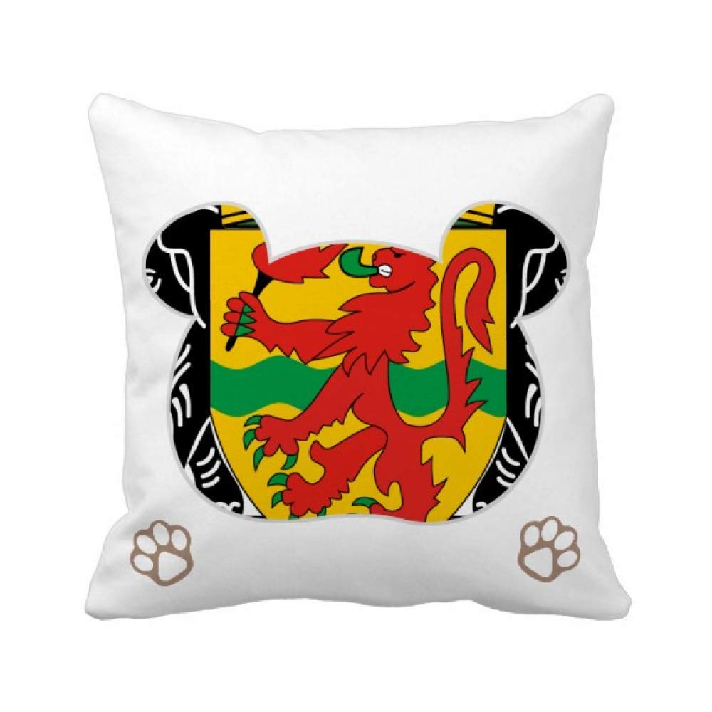 Housse de coussin Congo carrée avec emblème national pour décoration intérieure