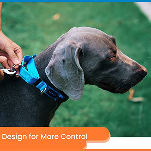 Iunpvet Martingale Dog Collar,Reflective Adjustable No-Pull Nylon Safety Training Collar For Small Medium Large Dogs (13-14" Neck X 3/4" Wide) #TOP1