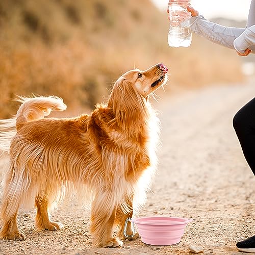 2 Stück Faltbare Reiseschale Auslaufsichere Hundenapf Faltbar aus Silikon Wassernapf für Hunde Unterwegs und Haustiere für Wasser und Futter(Rosa, Blau)