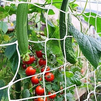 Plant Climbing Creeper Net (4x6 Ft Pack of 3) | Plant Supporting Net Used in Terrace, Shade, Roof for Shrubs, Vegetables, Flowers and Other Plants Growth Supporting (B0D7QH46S2) Amazon Price History, Amazon Price Tracker