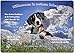 Produktbild Merchandise for Fans Blechschild/Warnschild/Türschild - Aluminium - 20x30cm - - Willkommen in Meinem Zuhause - Motiv: Entlebucher Sennenhund - 14