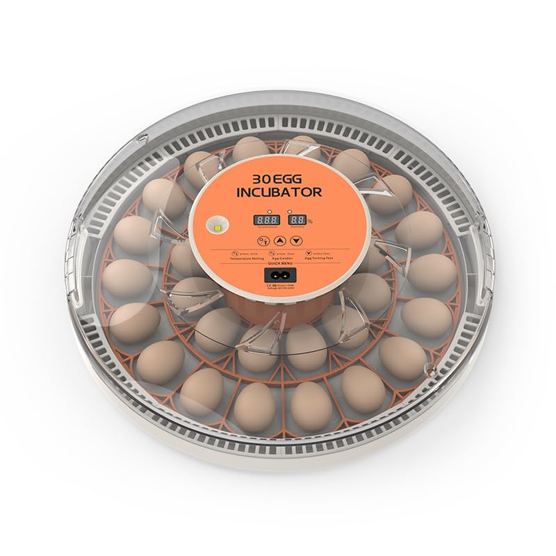 Photo 1 of  30 Egg Incubators for Hatching Eggs with Automatic Egg Turner, Auto Temperature Control, Chicken Incubators 360° View, Quail Eggs for Hatching (30 Eggs) 