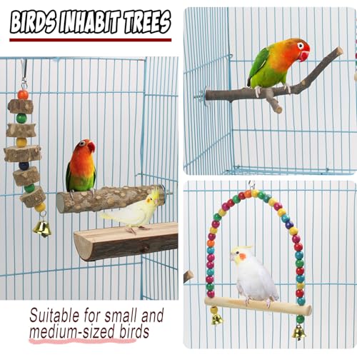 Image of Bird Perch Stand for Cage, Parrot Perch Natural Wood Stand Toys, Bird Accessories for Parakeet, Cockatiel, Macaws, Conures (5 PCS)