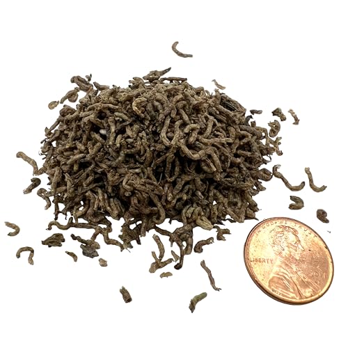 Aquatic Provisions FD-BW-01-05 Blood Worms 0.5 Oz, Freeze Dried Fish Food thumb #4