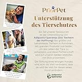 Hunderampe Auto Klappbar- Teleskop Alu Rampe für große Hunde - Stabile Hundetreppe Auto & SUV - rutschfest - Reflektierende Seiten - Hundeleiter Auto - 90kg Belastbarkeit - Befestigungsclip - Blau