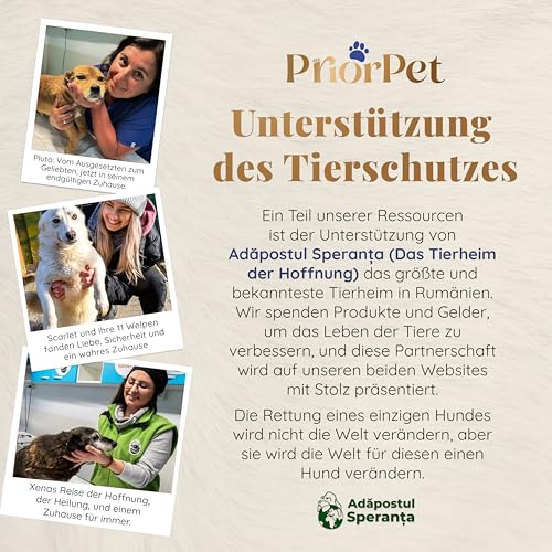 Hunderampe Auto Klappbar- Teleskop Alu Rampe für große Hunde - Stabile Hundetreppe Auto & SUV - rutschfest - Reflektierende Seiten - Hundeleiter Auto - 90kg Belastbarkeit - Befestigungsclip - Schwarz