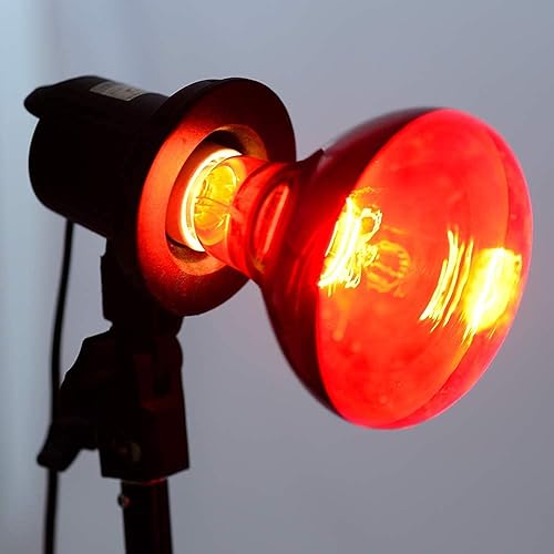 Miniatura 4 de Bombillas infrarrojas R40125 vatios de vidrio rojo tostado para reptiles, baño, granja, mascota, pollitos, uso de calefacción de fisioterapia, base