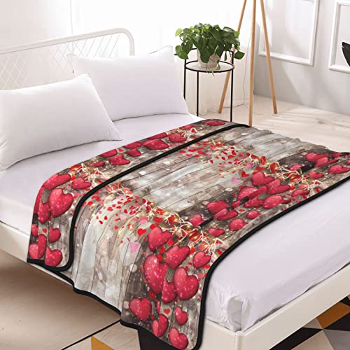 Couverture polaire grand format plaid flanelle lit canapé microfibre rouge