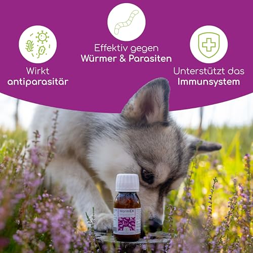 WormEx - Pflanzliche Wurmkur für Hunde, Effektiver Schutz gegen Würmer und Parasiten, Enthält Walnussöl, Hanfsamenöl und Kokosöl, Wurmkur Hund gegen Würmer