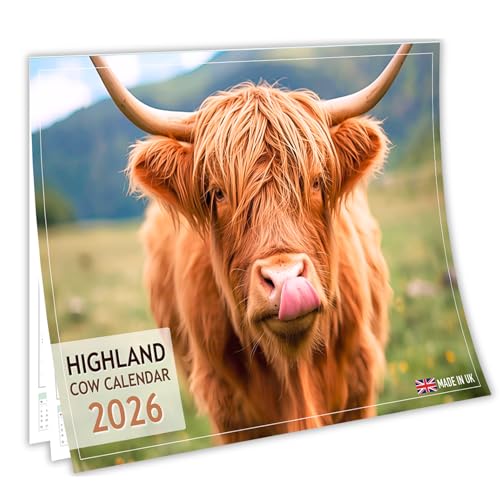 Highland Cow Calendar 2026 A4 Wall Calendar A3 When Open Adorable Highland Cow Photography Premium 150gsm Silk Paper Home or Office Calendar UK Bank Holidays Made & Designed in the UK