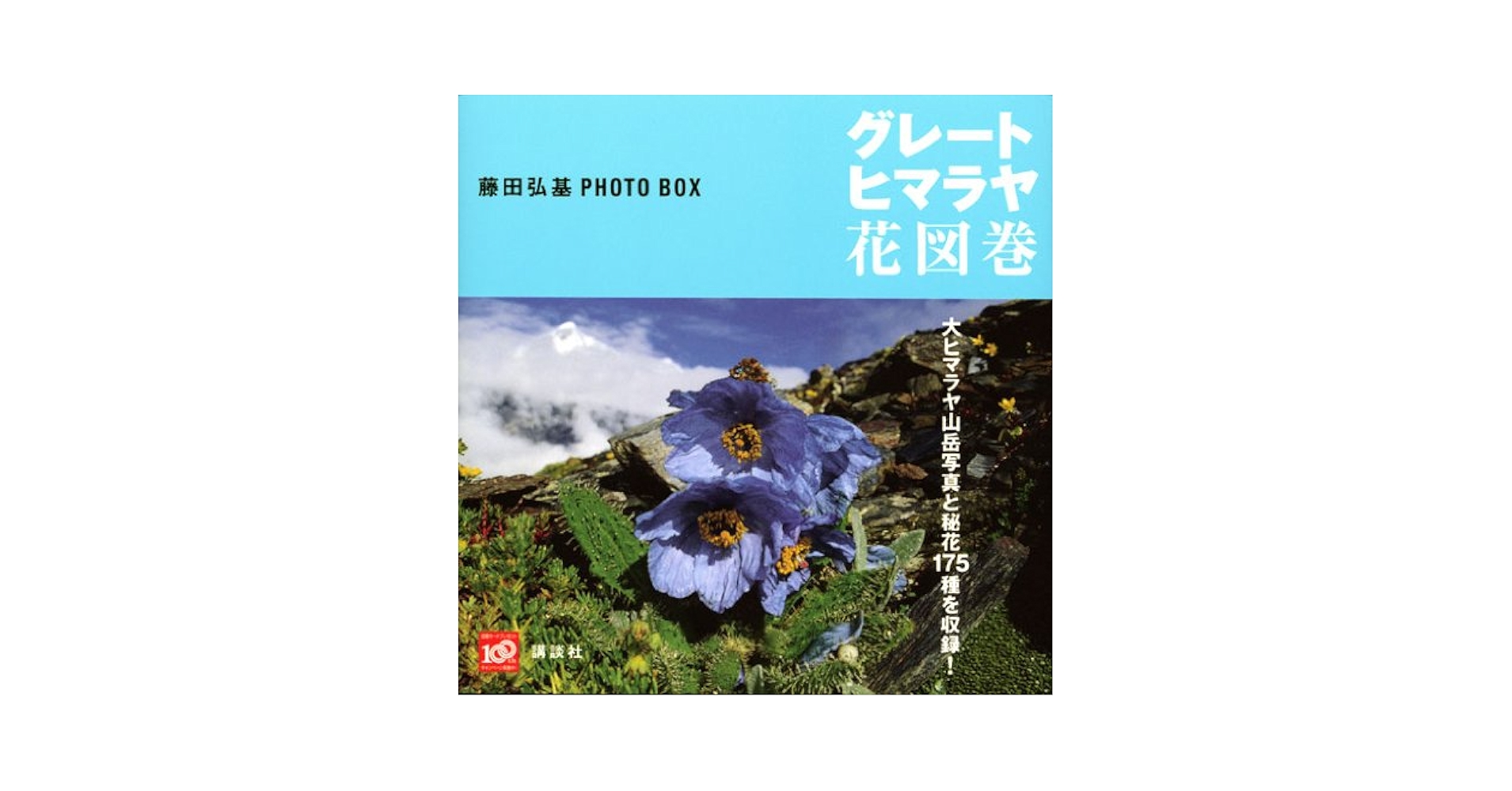藤田弘基 ヒマラヤの花 ヒマラヤの花 : 藤田弘基写真集(藤田弘基 著) / 古本、中古本