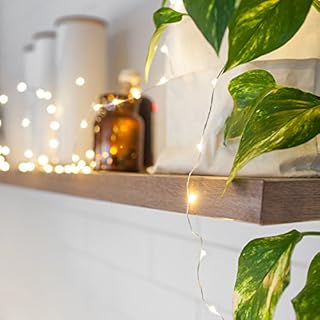 Lights4fun Indoor String Fairy Lights with 100 Warm White Micro LEDs on Silver Wire Mains Powered 4.95m