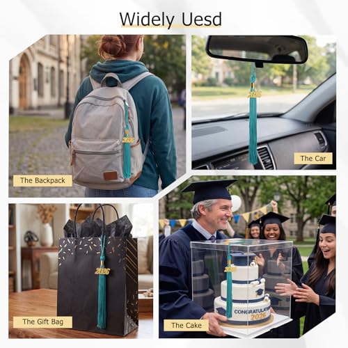 Image of GraduationMall Single&Multiple Color Graduation Tassel with 2026 Year Charm 9 inch