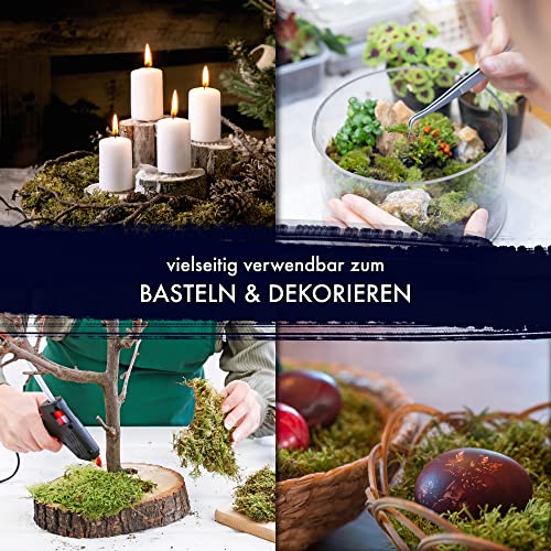 Moos GJS Platten – Konservierte Moosplatten in 100g, 200g und 500g