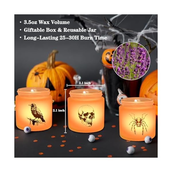   Homsolver-Halloween-Candles-Halloween-Decorations-Indoor-Decor-Gifts-Hallloween-Spooky-Skull-Crow-Spider-Candles-Halloween-Home-Decor-Indoor-Hallloween-Lavender-3-Candles-Set-with-LED-Light