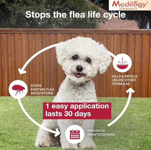 Image of Medilogy Biotech Dog Spot on Solution 2.68ml for Prevention & Effective Control of Flea, Tick & Chewing Lice Treatment for Dogs Weighing from 20kgs to 40 kgs-Pack of 1
