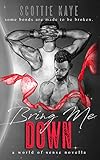 Bring Me Down: Polyamorous Gay Fantasy Romantic Suspense | Gay Prize Poly Romance | BDSM Elements (World of Sense)