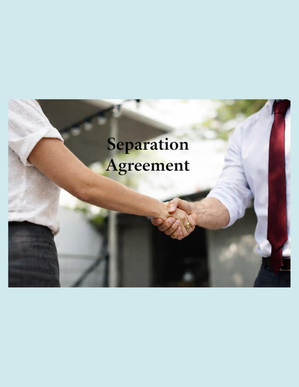 Separation Agreement Do-It-Yourself Kit: Lawyer-Reviewed Separation Agreement Fillable Form with Instructions