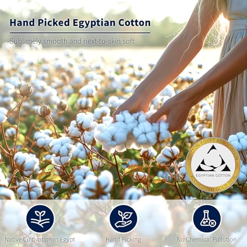 image for Shilucheng 100% Cotton Queen Size Sheets Set - 600 Thread Count，Luxu