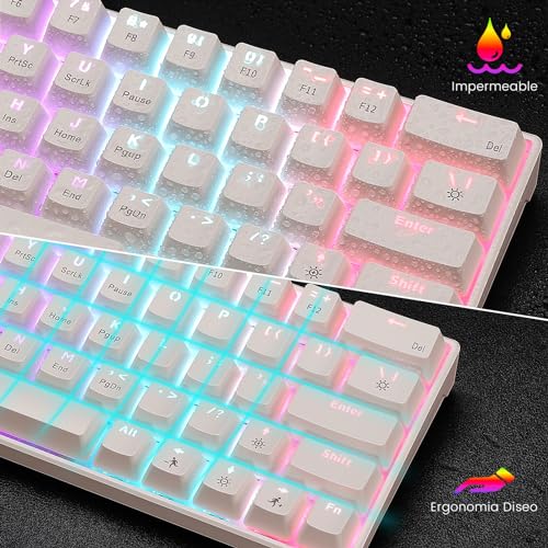 Teclados De Computadora, Personal Computer Imagen adicional