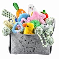 Ousiya 24-Stück Welpenspielzeug-Set, Welpenspielzeug zum Zahnen mit Aufbewahrungsbox, Hundespielzeug und quietschendes Hundespielzeug, Kauspielzeug für kleine und mittelgroße Hunde, zum Spielen