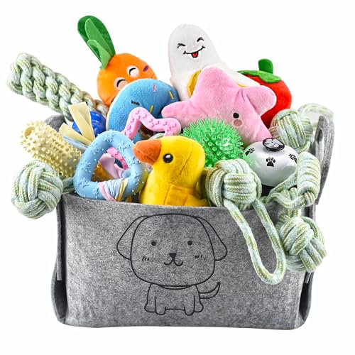 Lot de 24 Jouets pour Chiots, Jouets de Dentition pour Chiots avec boîte de Rangement, à mâcher pour Chiens et couinants pour Chiens de Petite et Moyenne Taille