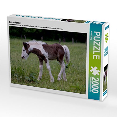 Preisvergleich Produktbild Tinker-Fohlen 2000 Teile Puzzle quer