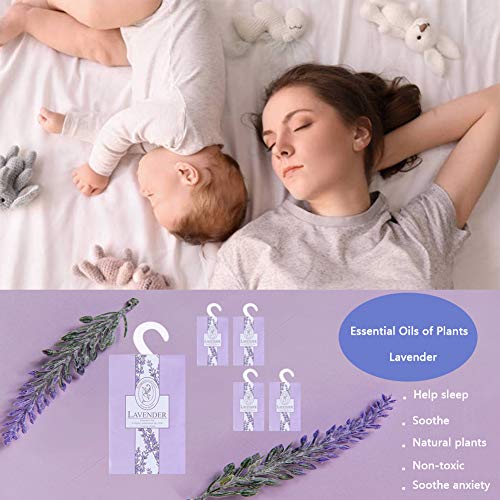 Lifetop 16Packs Lavender & Rose Closet Air Freshener Deodorizer Scented Sachets Bags For Drawer Closets, Wardrobes And Bedrooms, Car Scent (Lavender + Rose) #TOP4