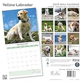 Zoom IMG-1 baker and bray calendario 2025 Zoom IMG-1 baker and bray calendario 2025