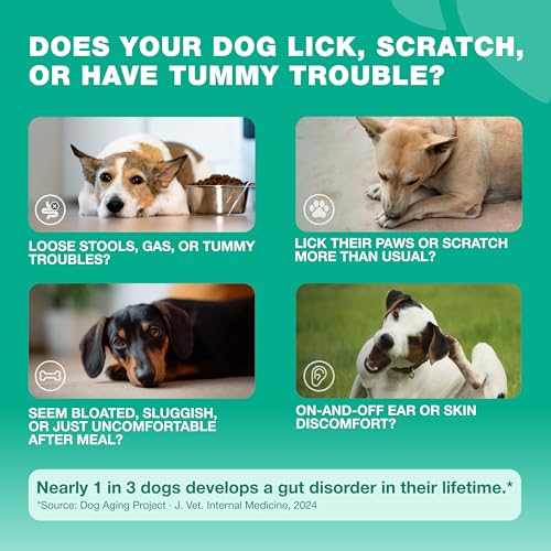 Image of Probiotics for Dogs Gut Health, Digestion, Immunity, Yeast Balance, Itchy Skin, Allergies Support - Dog Probiotic Chews with Digestive Enzymes for Gut Flora- Soft Treats with Pumpkin and Yeast Powder