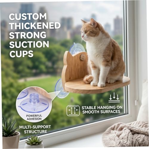 Fenstersitz für Katzen, Holz-Katzenfenstersitz mit robusten Saugnäpfen, platzsparendes Katzenregal für den Innenbereich, ovale Form, Sitzstange-4