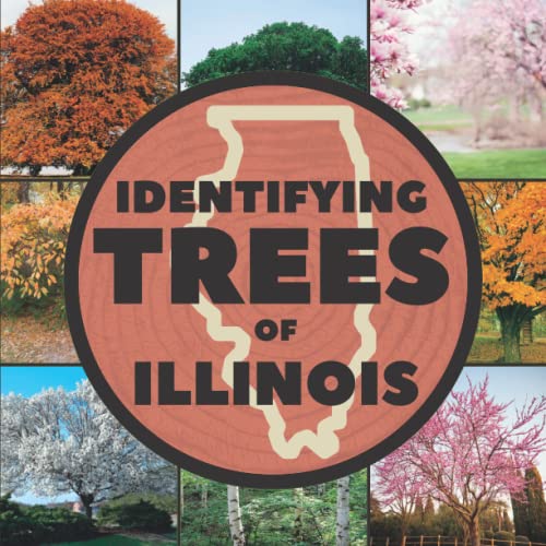 Top 7 Best Illinois Tree Identification Reviews & Ranking in 2022 BNB