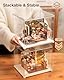 ROWOOD Acryl-Displaybox, Vitrine aus Acryl, 29 X 24 X 24cm, Klarer Showcase-Ständer Zum Zusammenbauen, Staubgeschützte Box Für Puppenhaus, 3D Puzzle, Sammlerstücke Oder Lagerung Zu Hause