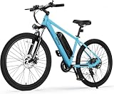 Qlife Racer Mountain E-Bike