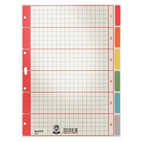 Esselte Leitz Kartonregister Blanko, A4, Karton, 6 Blatt 43500085 Grau mit farbigen Taben, 5 Stück