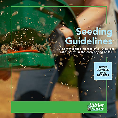 Watersaver Grass Mixture With Turf-Type Tall Fescue Used To Seed New Lawn And Patch Up Jobs-Grows In Sun Or Shade, 10 Lbs-Covers 1/20 Acre #TOP5