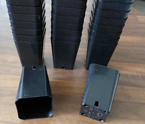 100 Seed Starting 2 1/4' Square X 3 1/4' Deep Plastic Rose Pots re-usable Durable Black