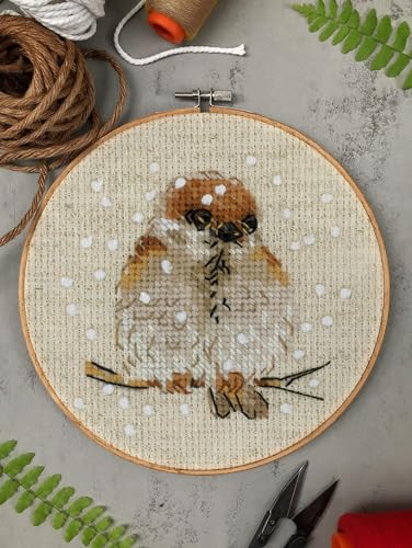 Image of RIOLIS - Sparrow 1680, Cross Stitch Kits 3,94 inch x 3,94 inch, Cross Stitch Kits for Beginners & Advanced, Crossstitching Kit Adult, Embroidery Counted Stitching Kit